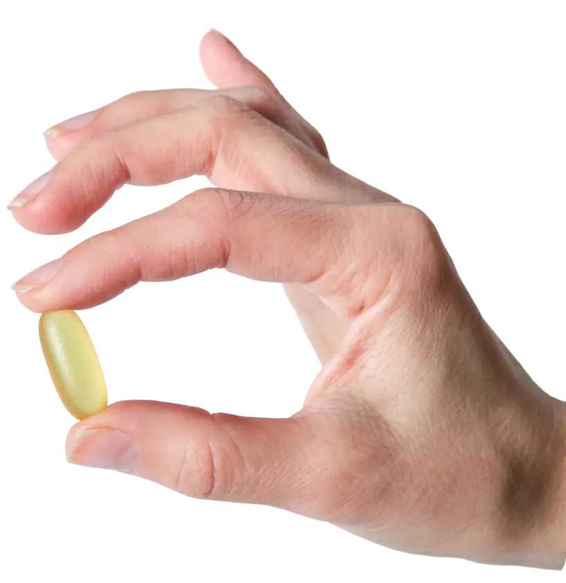 capsula