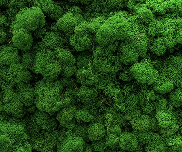Crédito Hipotecario Verde