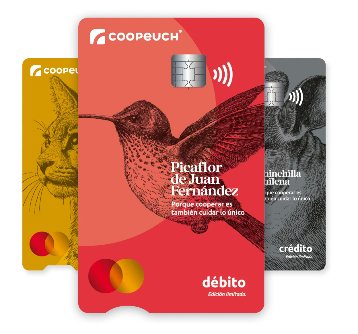Nuevas Tarjetas Coopeuch