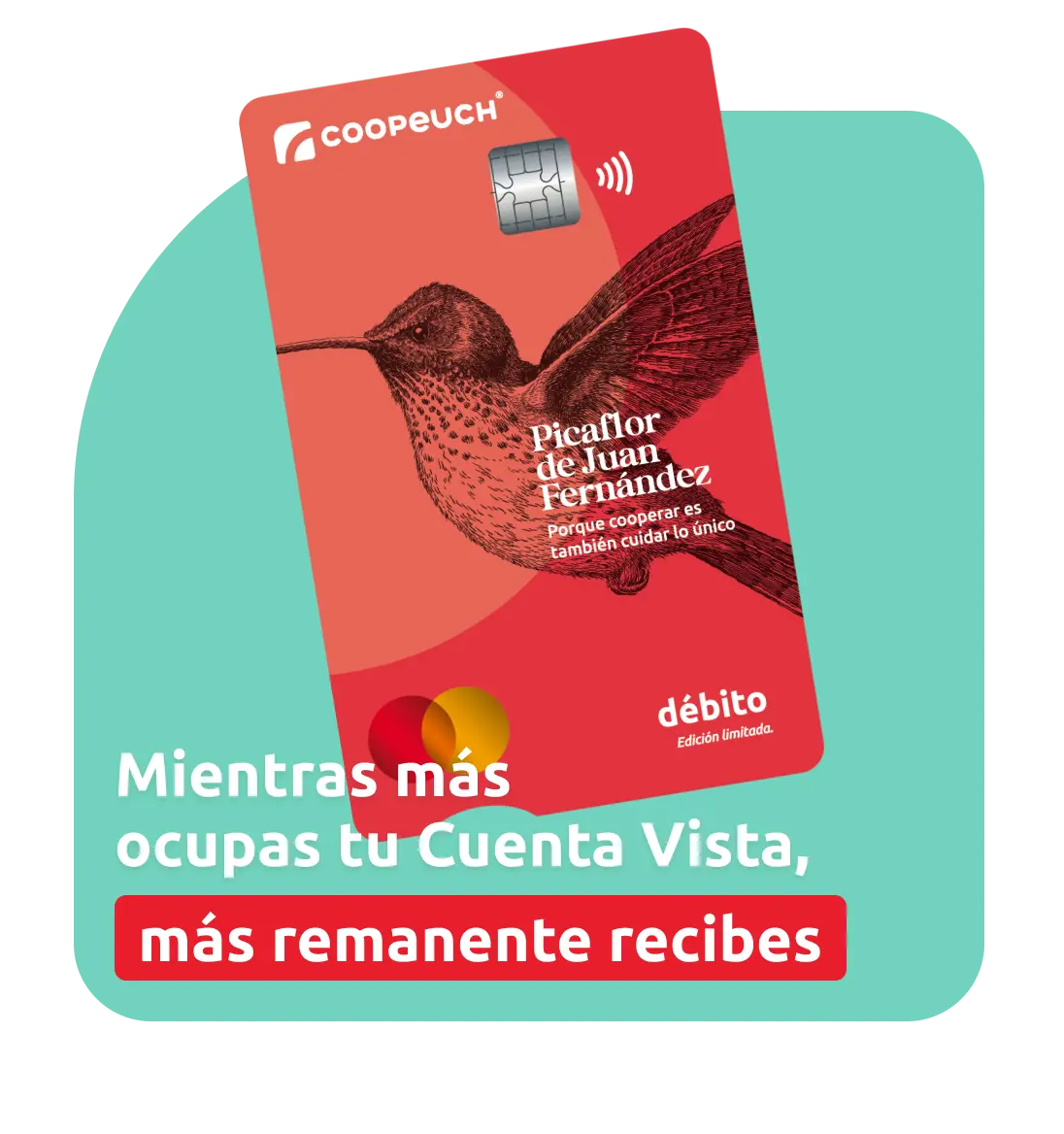 cuenta-vista