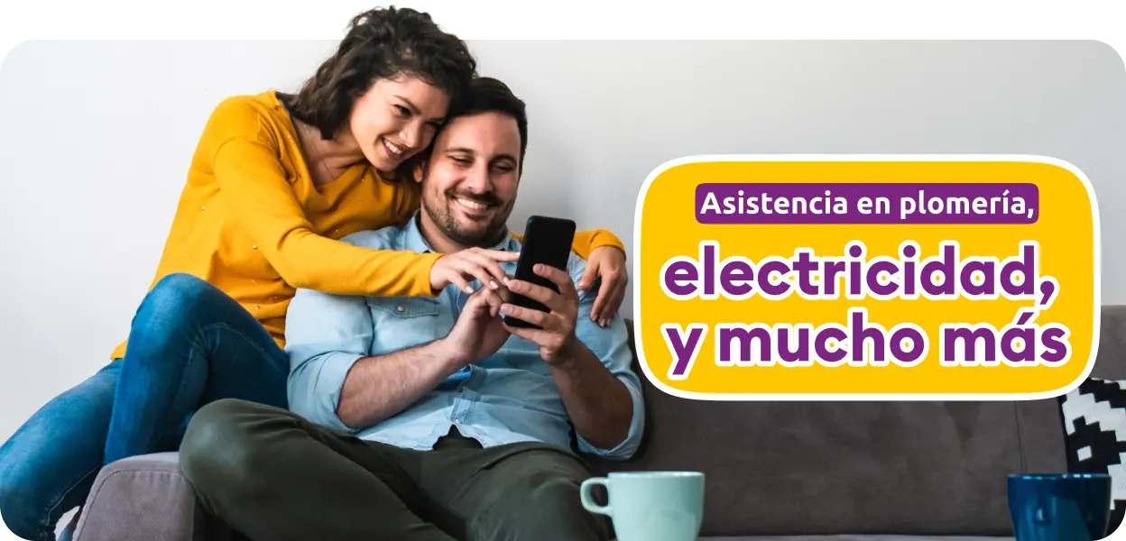 Picture banner seguro hogar dk