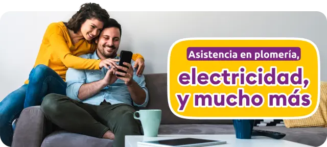 Picture banner seguro hogar mb