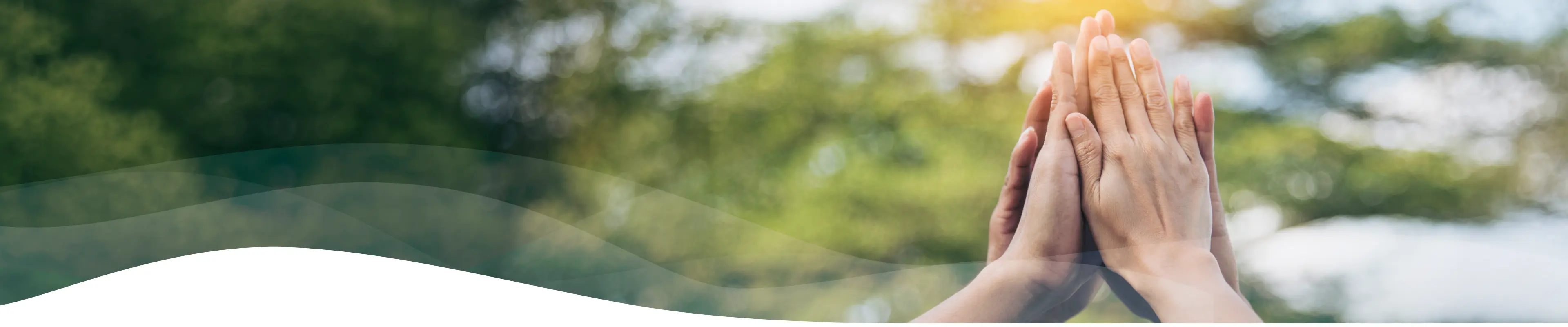 Banner landing ayuda dk