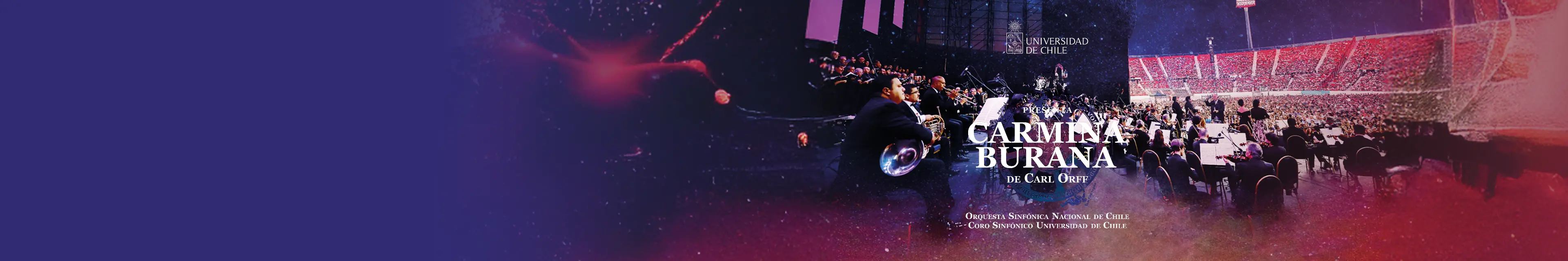 Sembrando Cultura 26 años landing