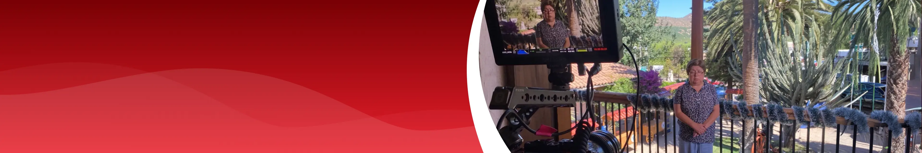 Bg banner raicescooperativas dk