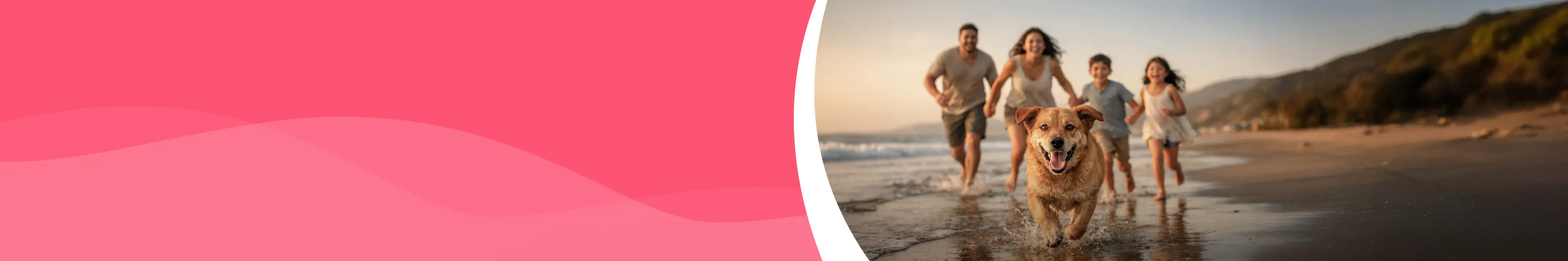 Bg bannerconsumo febrero v1 dk