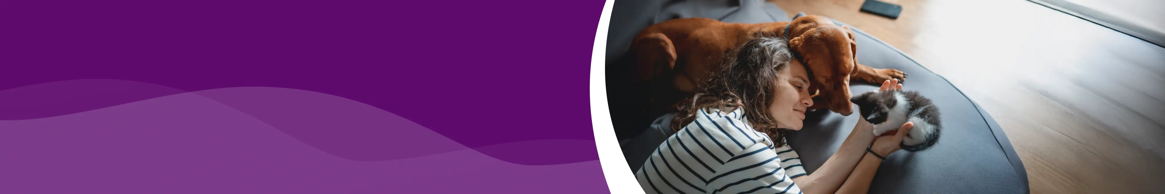 mejor seguro para mascota en Chile