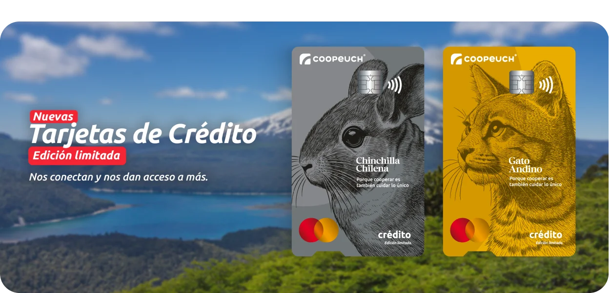 Img banner landing tarjeta credito desk