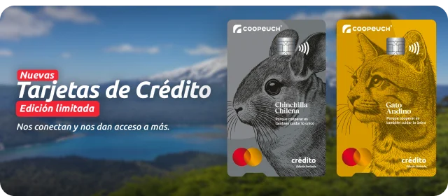 Img banner landing tarjeta credito mobile