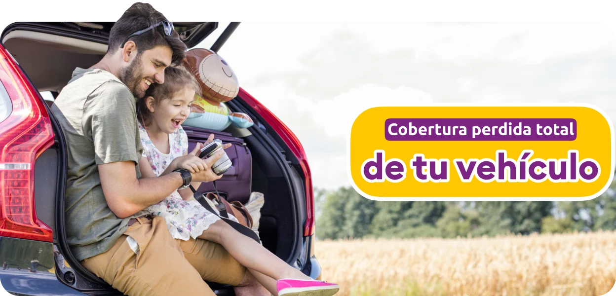 Img banner seguro auto perdida total desk
