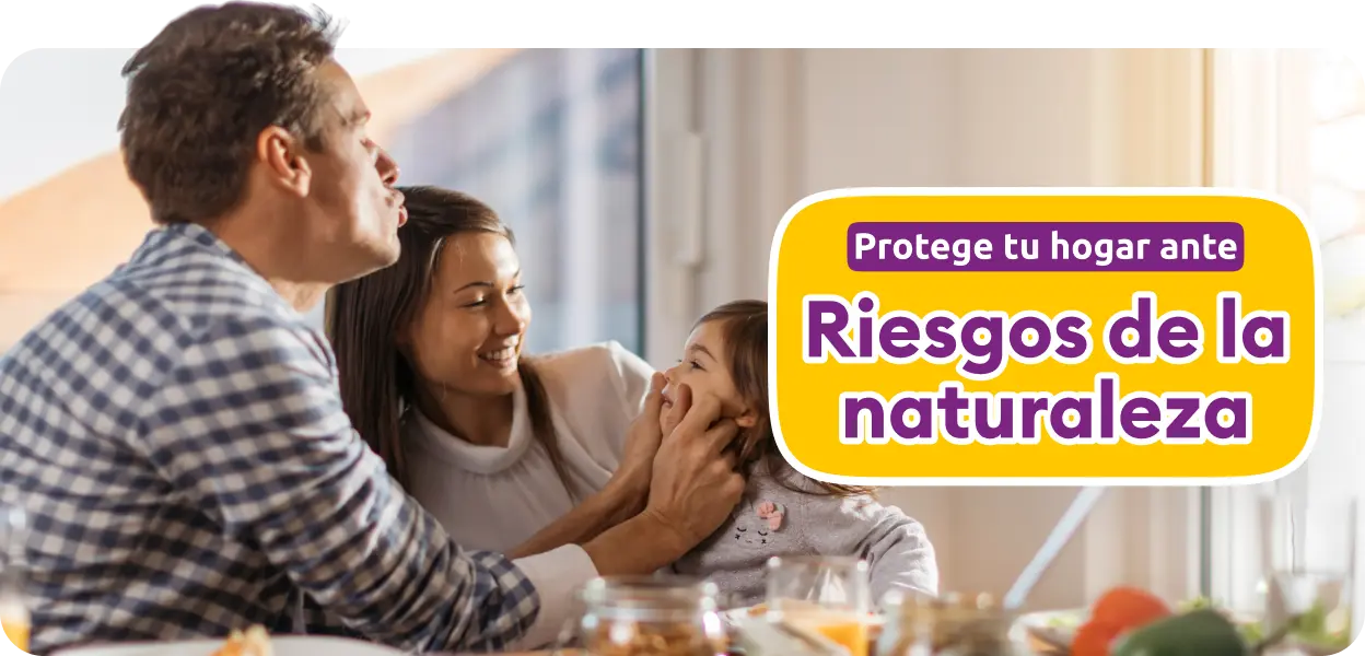 Img banner seguro hogar dk