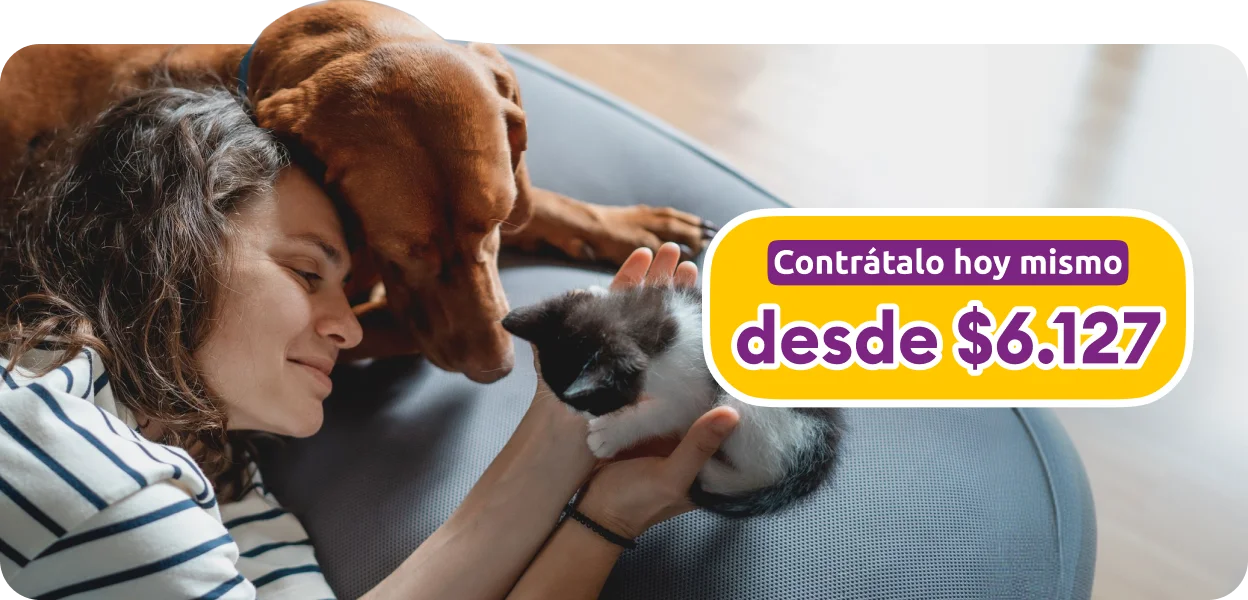 Img banner seguro mascota desk