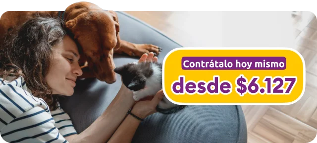 Img banner seguro mascota mobile
